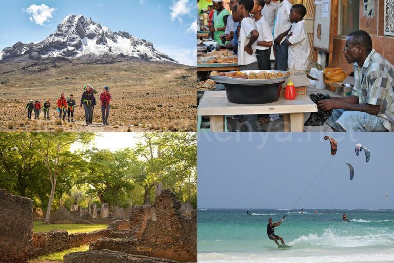 Hobby Hotel Explained: Concept, Benefits & Real-World Examples